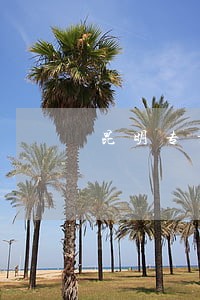 昆明专业民间借贷律师法律咨询