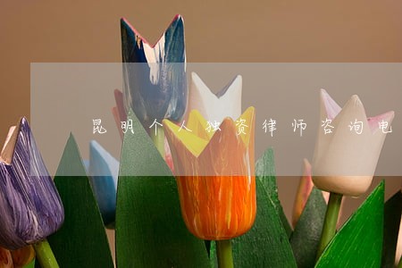 昆明个人独资律师咨询电话 昆明个人独资律师咨询电话
