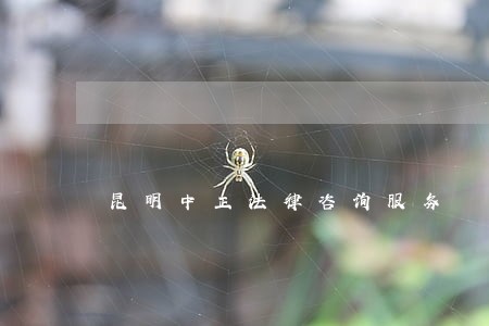 昆明中正法律咨询服务 昆明中正法律咨询服务
