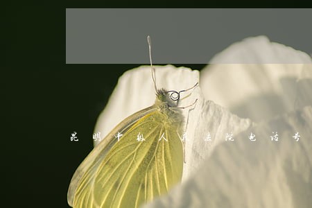 昆明中级人民法院电话号码 昆明中级人民法院电话号码