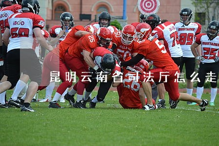 昆明云南省司法厅怎么走 昆明云南省司法厅怎么走
