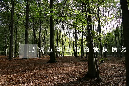 昆明五华靠谱的债权债务律师 昆明五华靠谱的债权债务律师