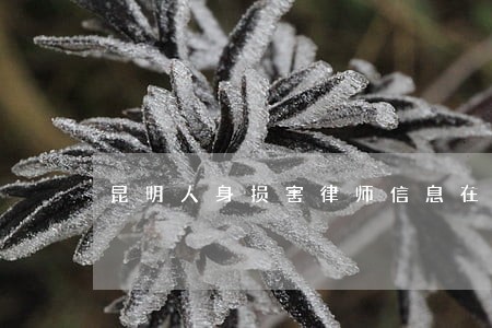 昆明人身损害律师信息在线查询 昆明人身损害律师信息在线查询
