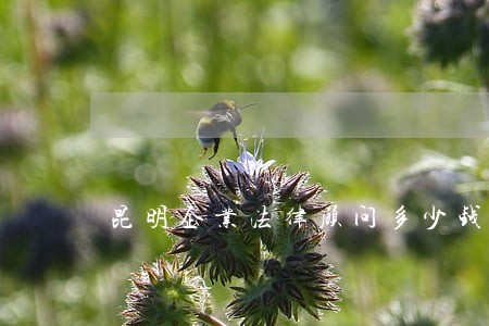 昆明企业法律顾问多少钱 昆明企业法律顾问多少钱
