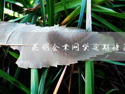 昆明企业网贷逾期修复电话 昆明企业网贷逾期修复电话