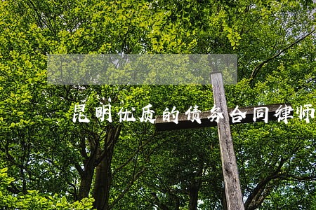 昆明优质的债务合同律师 昆明优质的债务合同律师