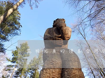 昆明优质的债务合同律师事务所 昆明优质的债务合同律师事务所