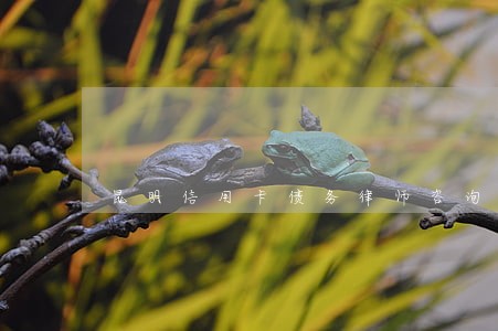 昆明信用卡债务律师咨询 昆明信用卡债务律师咨询