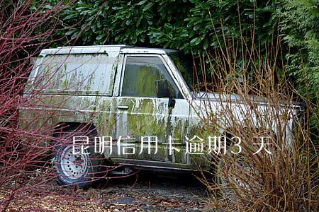 昆明信用卡逾期3天 昆明信用卡逾期3天