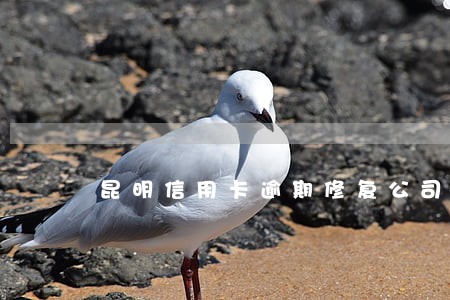 昆明信用卡逾期修复公司 昆明信用卡逾期修复公司