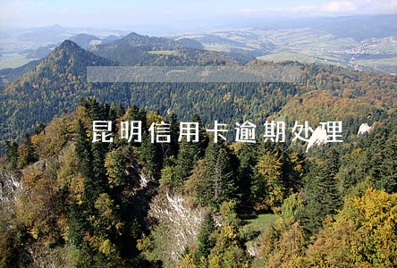 昆明信用卡逾期处理 昆明信用卡逾期处理