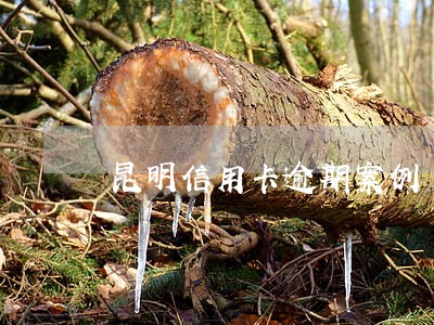 昆明信用卡逾期案例 昆明信用卡逾期案例