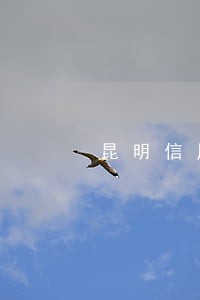 昆明信用卡逾期负债 昆明信用卡逾期负债