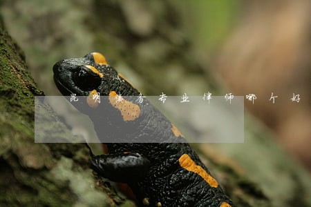 昆明债务专业律师哪个好 昆明债务专业律师哪个好
