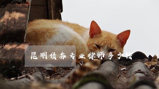 昆明债务专业律师多少钱 昆明债务专业律师多少钱