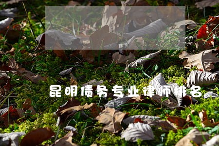 昆明债务专业律师排名 昆明债务专业律师排名