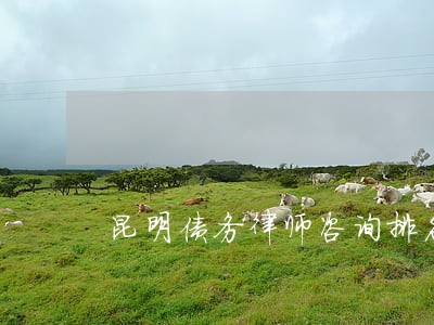 昆明债务律师咨询排名 昆明债务律师咨询排名