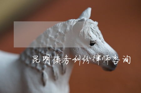 昆明债务纠纷律师咨询 昆明债务纠纷律师咨询