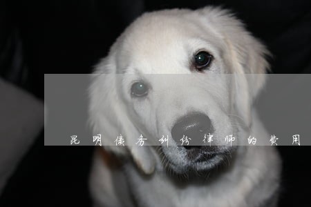 昆明债务纠纷律师的费用 昆明债务纠纷律师的费用