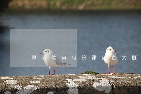 昆明债务纠纷律师费大概多少