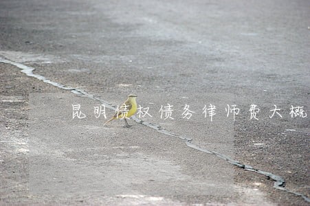 昆明债权债务律师费大概多少 昆明债权债务律师费大概多少