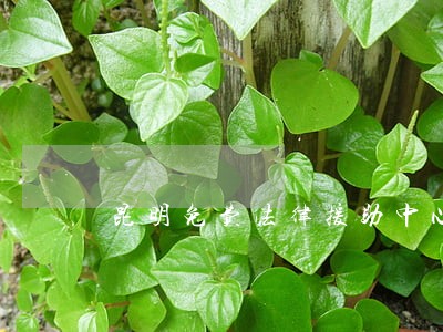 昆明免费法律援助中心在哪里 昆明免费法律援助中心在哪里
