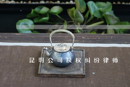 昆明公司股权纠纷律师 昆明公司股权纠纷律师