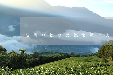昆明公积金贷款逾期一天 昆明公积金贷款逾期一天