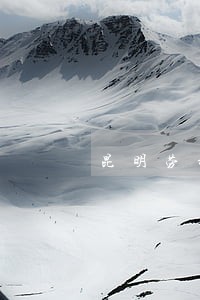 昆明劳动工伤律师预约服务周到 昆明劳动工伤律师预约服务周到