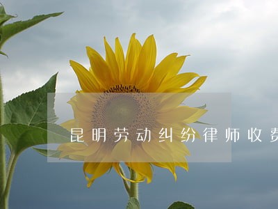 昆明劳动纠纷律师收费标准 昆明劳动纠纷律师收费标准