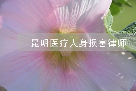 昆明医疗人身损害律师 昆明医疗人身损害律师
