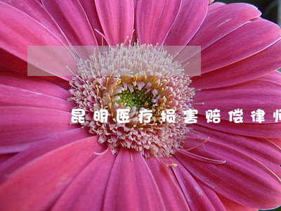 昆明医疗损害赔偿律师团队
