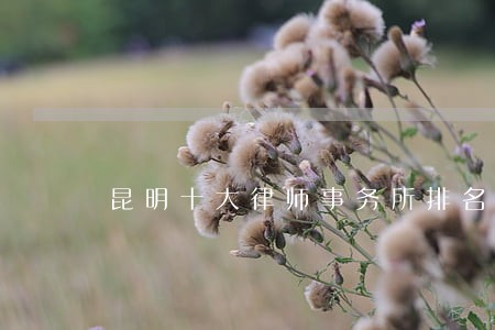 昆明十大律师事务所排名 昆明十大律师事务所排名