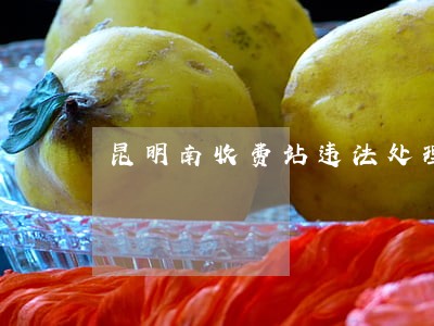 昆明南收费站违法处理窗口 昆明南收费站违法处理窗口