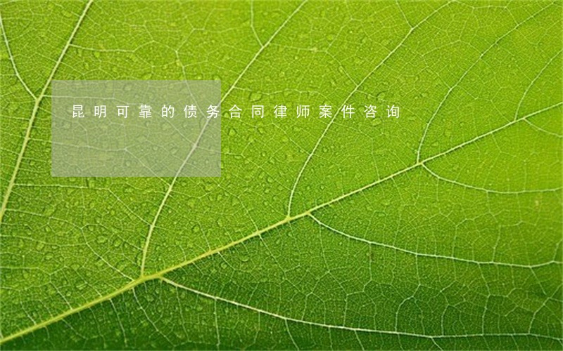 昆明可靠的债务合同律师案件咨询
