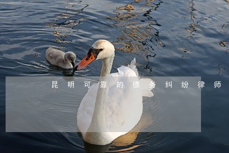 昆明可靠的债务纠纷律师哪个好 昆明可靠的债务纠纷律师哪个好