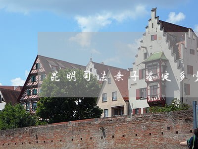 昆明司法亲子鉴定多少钱