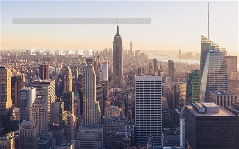 昆明司法助理员 昆明司法助理员