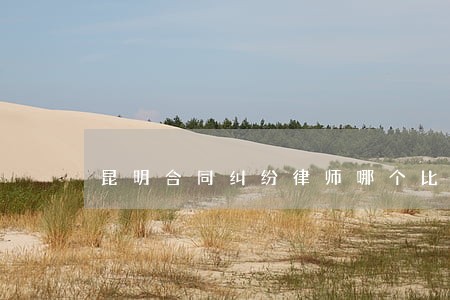 昆明合同纠纷律师哪个比较好 昆明合同纠纷律师哪个比较好