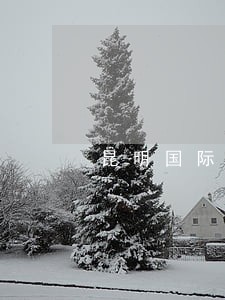 昆明国际贸易法律咨询 昆明国际贸易法律咨询