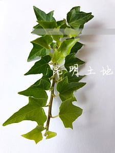 昆明土地拆迁法律咨询 昆明土地拆迁法律咨询