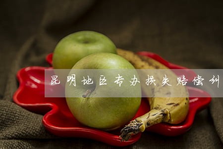 昆明地区专办损失赔偿纠纷律师 昆明地区专办损失赔偿纠纷律师