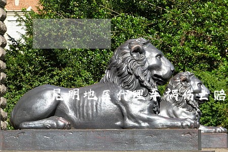 昆明地区代理车祸伤亡赔偿律师 昆明地区代理车祸伤亡赔偿律师