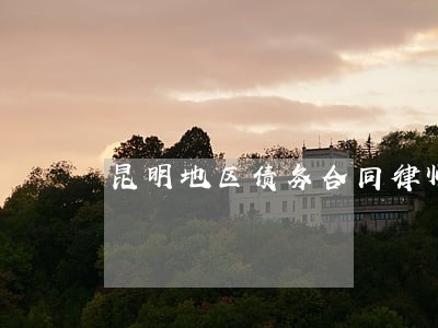 昆明地区债务合同律师哪个好 昆明地区债务合同律师哪个好