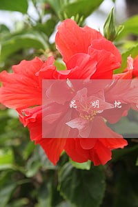 昆明地区医患纠纷律师事务所 昆明地区医患纠纷律师事务所