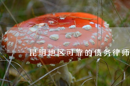 昆明地区可靠的债务律师收费标准 昆明地区可靠的债务律师收费标准