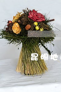 昆明地区西山债务律师推荐 昆明地区西山债务律师推荐