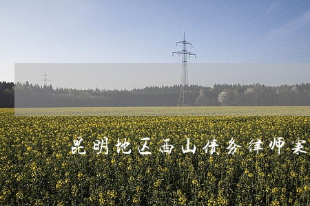 昆明地区西山债务律师案件咨询 昆明地区西山债务律师案件咨询