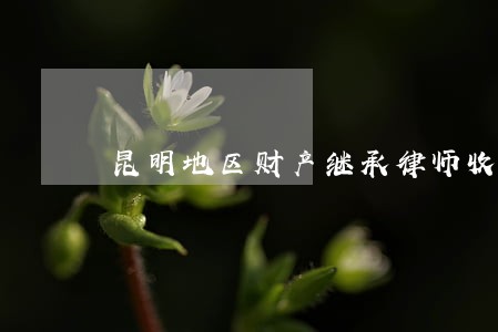 昆明地区财产继承律师收费标准 昆明地区财产继承律师收费标准