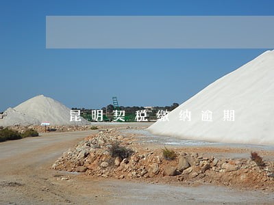 昆明契税缴纳逾期 昆明契税缴纳逾期